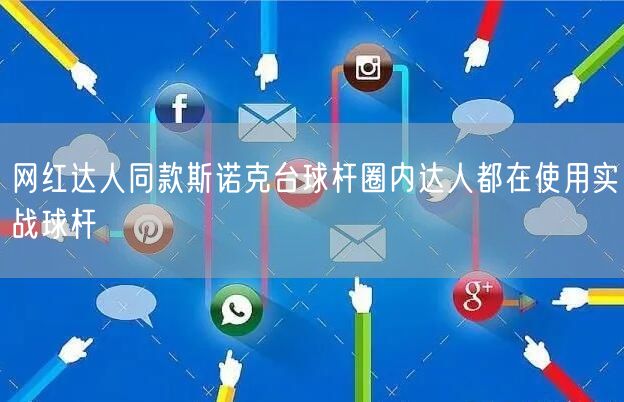 网红达人同款斯诺克台球杆圈内达人都在使用实战球杆