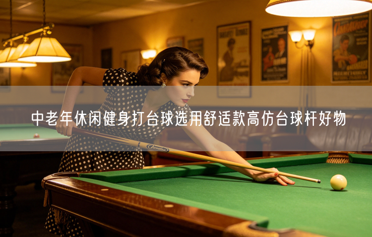 中老年休闲健身打台球选用舒适款高仿台球杆好物