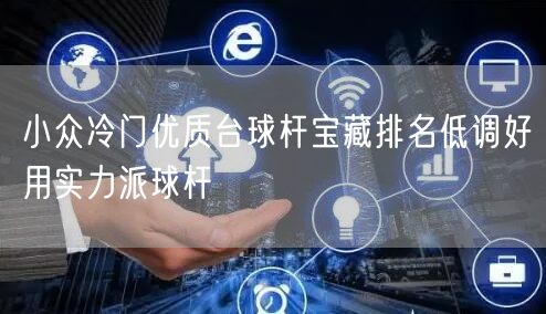 小众冷门优质台球杆宝藏排名低调好用实力派球杆
