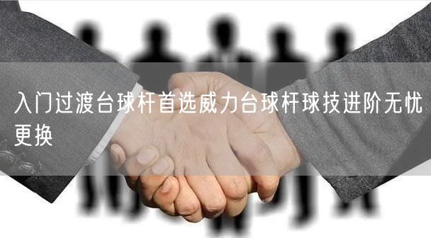 入门过渡台球杆首选威力台球杆球技进阶无忧更换