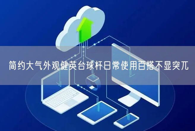简约大气外观健英台球杆日常使用百搭不显突兀