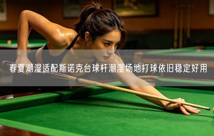 春夏潮湿适配斯诺克台球杆潮湿场地打球依旧稳定好用