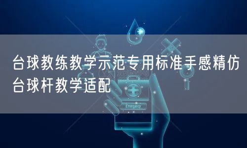 台球教练教学示范专用标准手感精仿台球杆教学适配