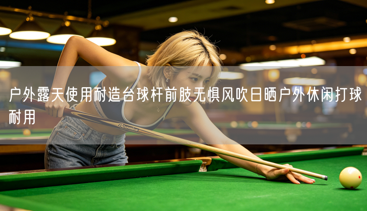 户外露天使用耐造台球杆前肢无惧风吹日晒户外休闲打球耐用