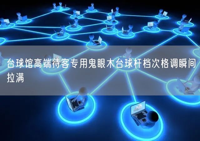 台球馆高端待客专用鬼眼木台球杆档次格调瞬间拉满