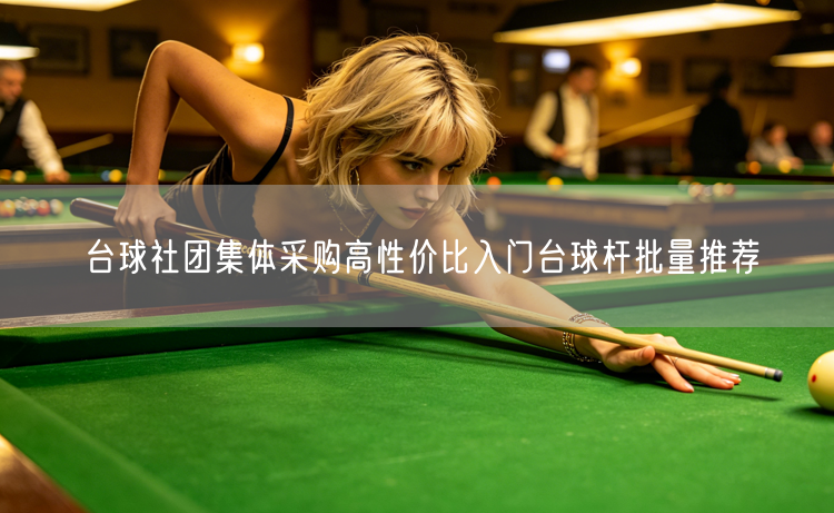 台球社团集体采购高性价比入门台球杆批量推荐