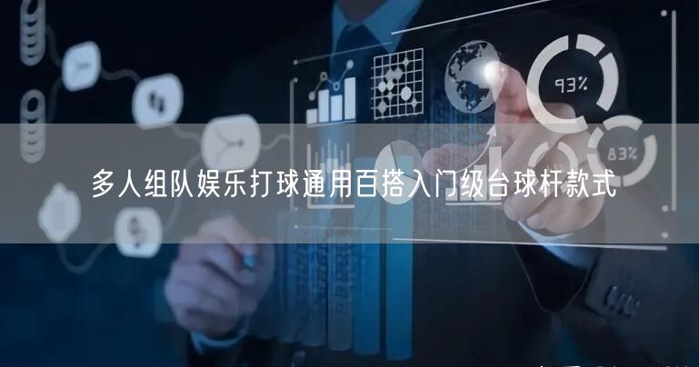 多人组队娱乐打球通用百搭入门级台球杆款式