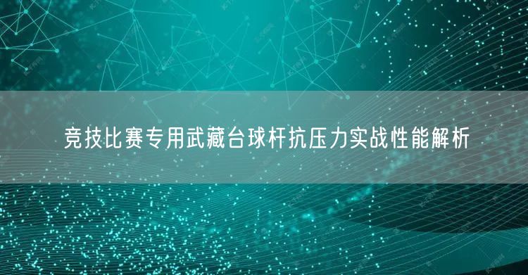 竞技比赛专用武藏台球杆抗压力实战性能解析