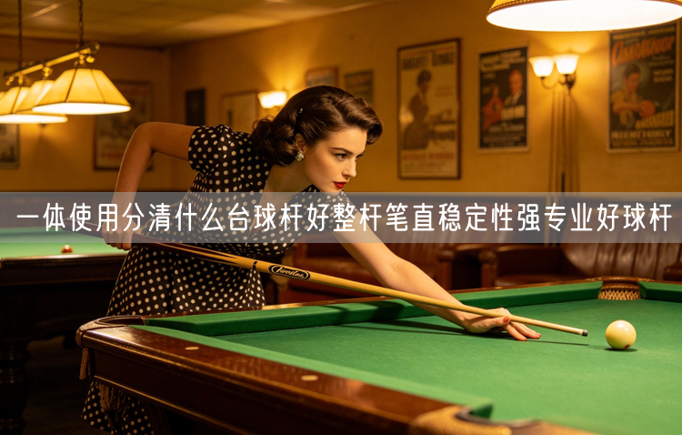 一体使用分清什么台球杆好整杆笔直稳定性强专业好球杆