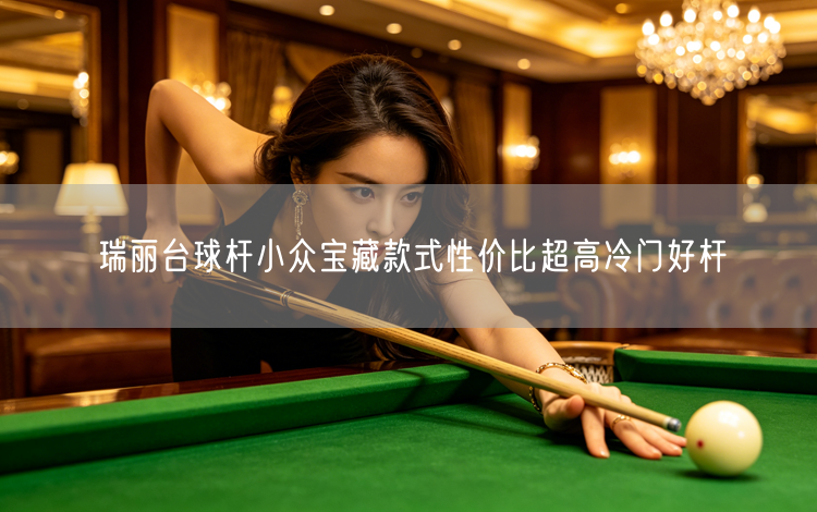 瑞丽台球杆小众宝藏款式性价比超高冷门好杆