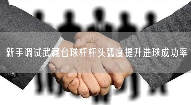 新手调试武藏台球杆杆头弧度提升进球成功率