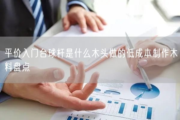 平价入门台球杆是什么木头做的低成本制作木料盘点