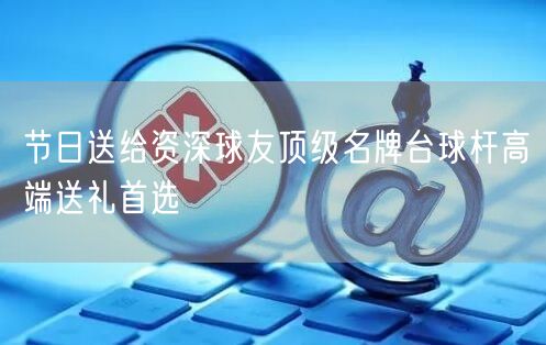 节日送给资深球友顶级名牌台球杆高端送礼首选