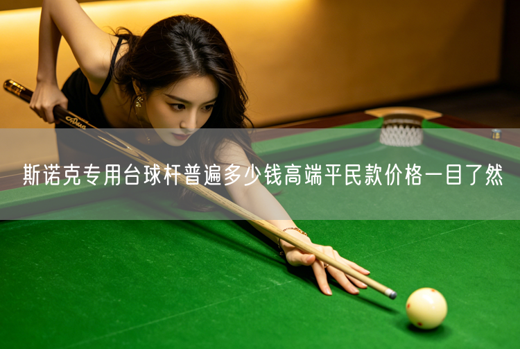 斯诺克专用台球杆普遍多少钱高端平民款价格一目了然