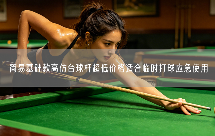 简易基础款高仿台球杆超低价格适合临时打球应急使用
